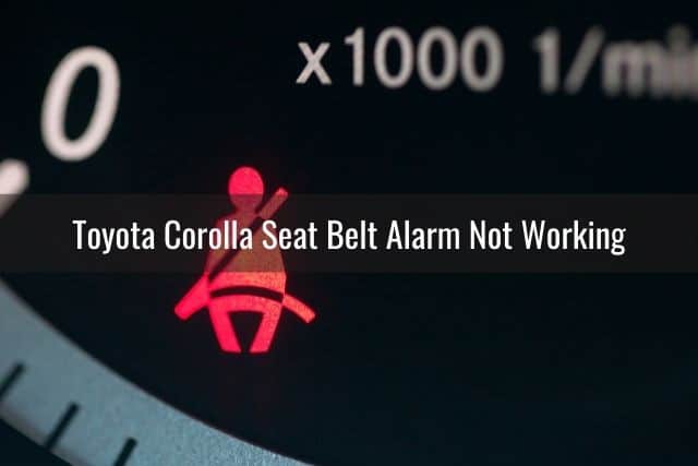Car seat belt light