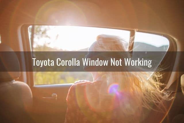 Toyota Corolla Window Not Working