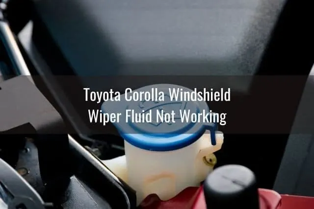 Windshield washer fluid cap with blue color in engine room of car.