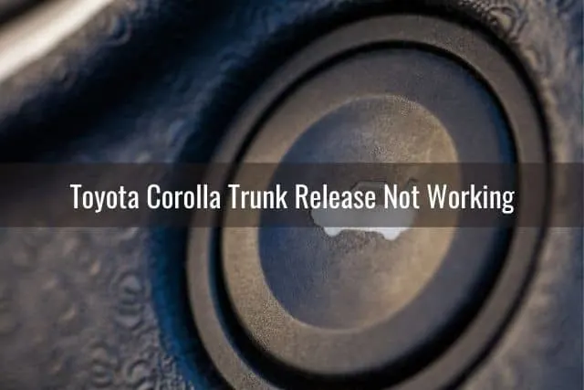 Car trunk release button