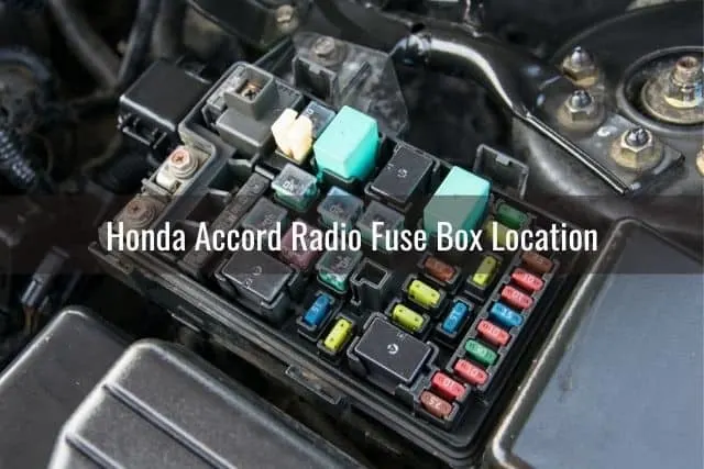 Car fuse box