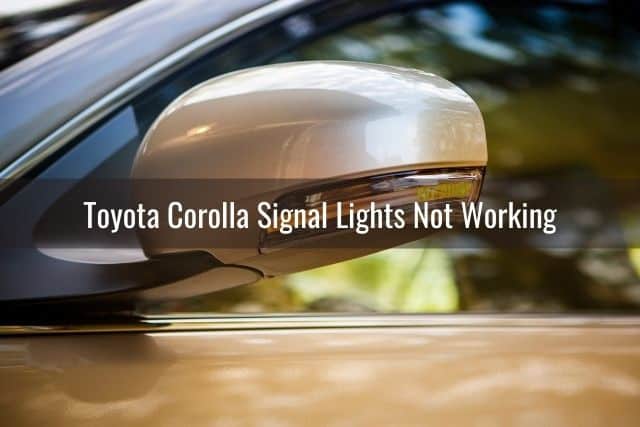 Car signal light