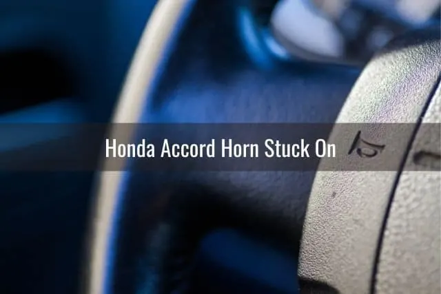 Car steering wheel horn graphic