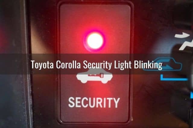 Car security alarm light