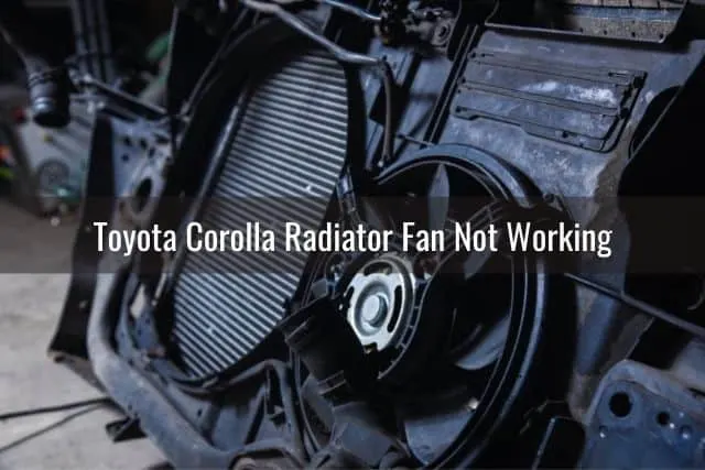 Car radiator fan