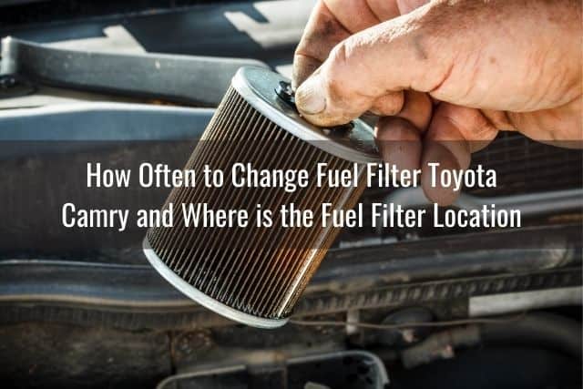 Car fuel filter