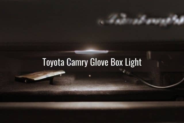 Car glove box light