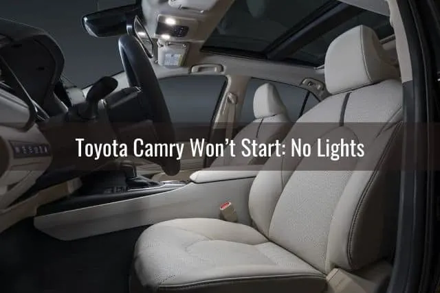 Car interior light