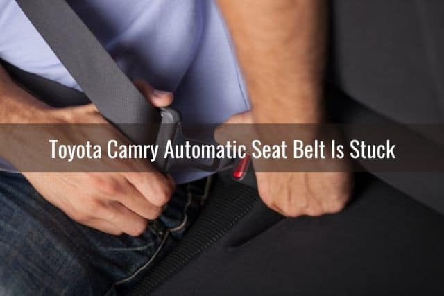 Male pushing in car seat belt into buckle
