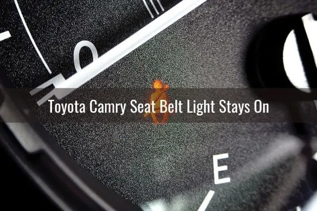 Car seat belt indicator light
