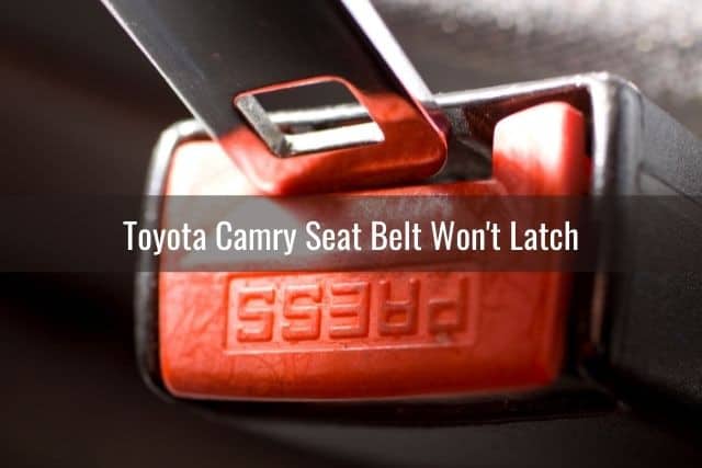 Car seat belt buckle