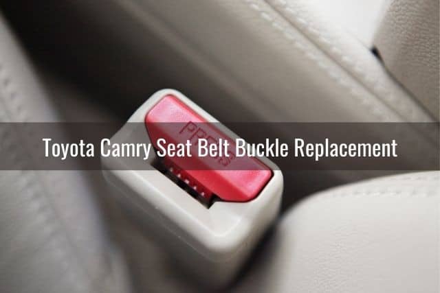Car seat belt buckle