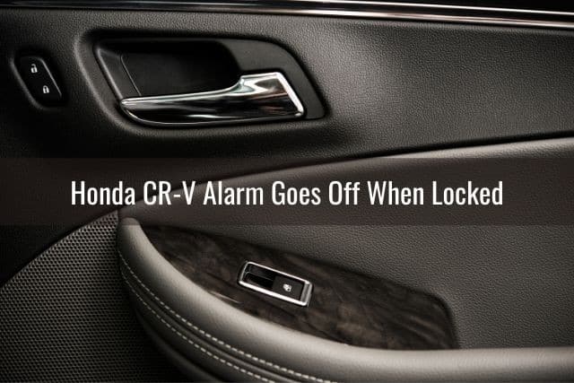 Car door handle and power lock buttons