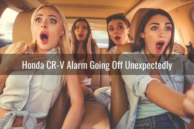 Group of girls in shock inside car
