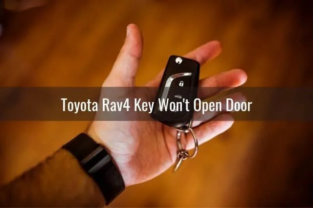 Open hand holding car key fob keys