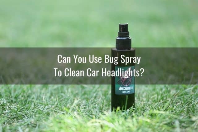 Bug spray on grass