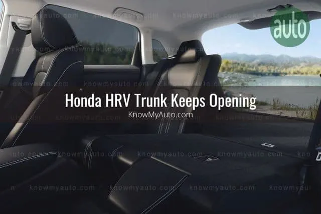 Interior SUV trunk door open