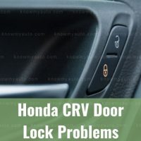 Car door lock buttons