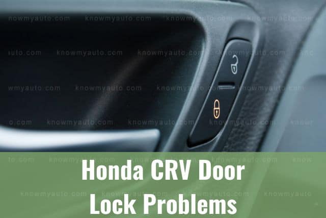 Car door lock buttons