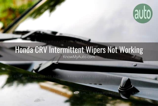 Car windshield wipers