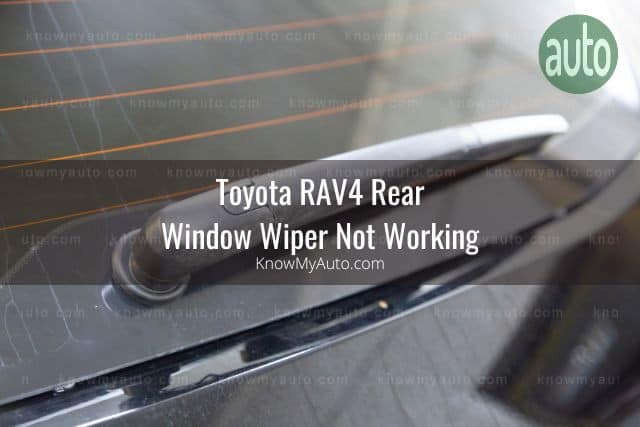 Rear windshield wipers