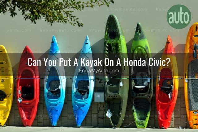 Colorful assortment of kayaks