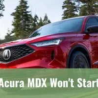 Red Acura MDX driving through forest of trees