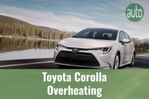White Toyota Corolla driving on the highway