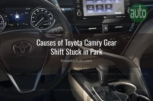 Toyota Camry Interior Steering Wheel and Gear Shifter